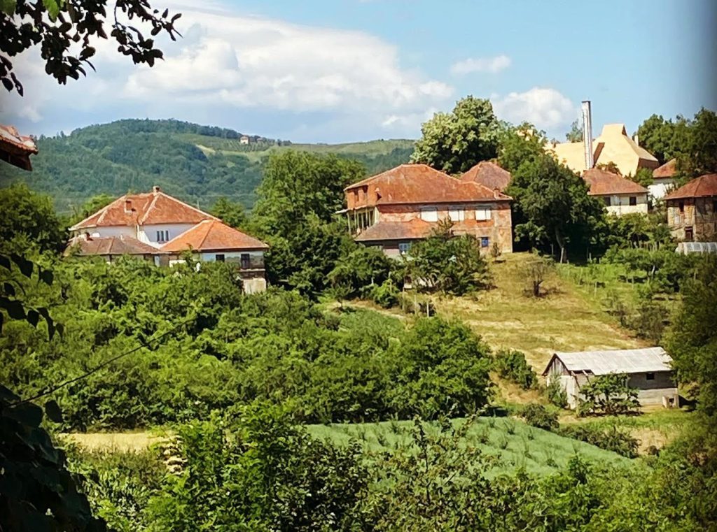 A sunny day, with a number of houses amongst trees on a hillside.