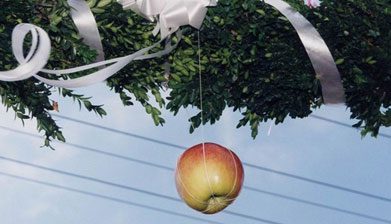 An apple hanging by a thread from the bough of a tree.